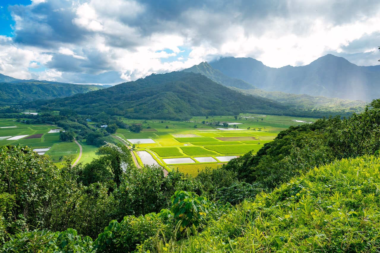 An Interactive Scavenger Hunt in Hanalei - weekend fun plan