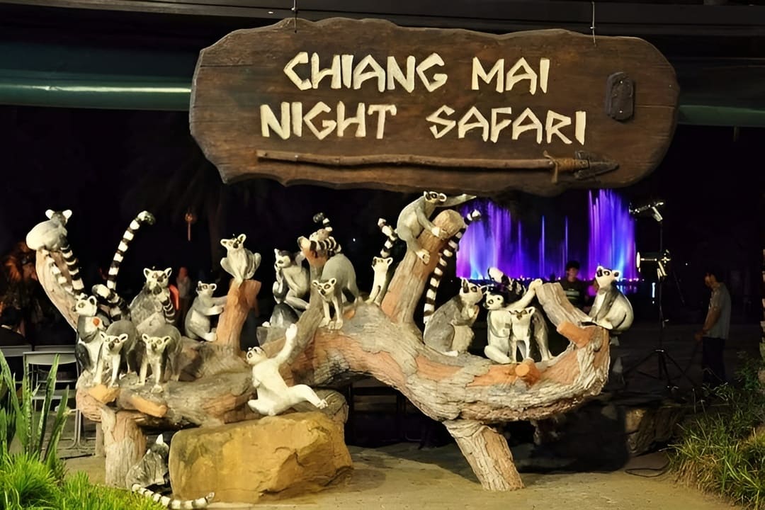 Chiang Mai Night Safari – A Nocturnal Adventure