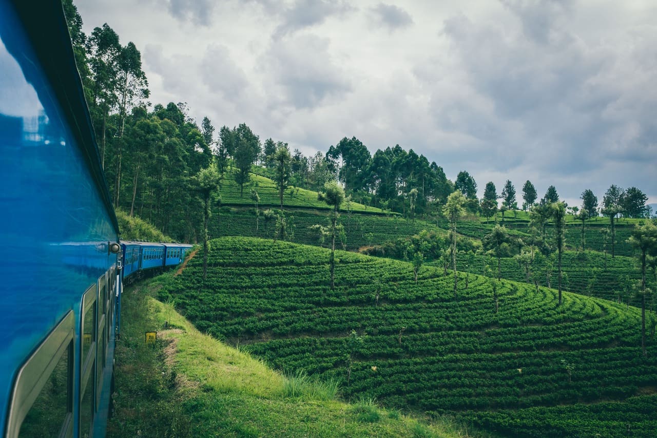 Ride the Famous Blue Train from Kandy to Ella
