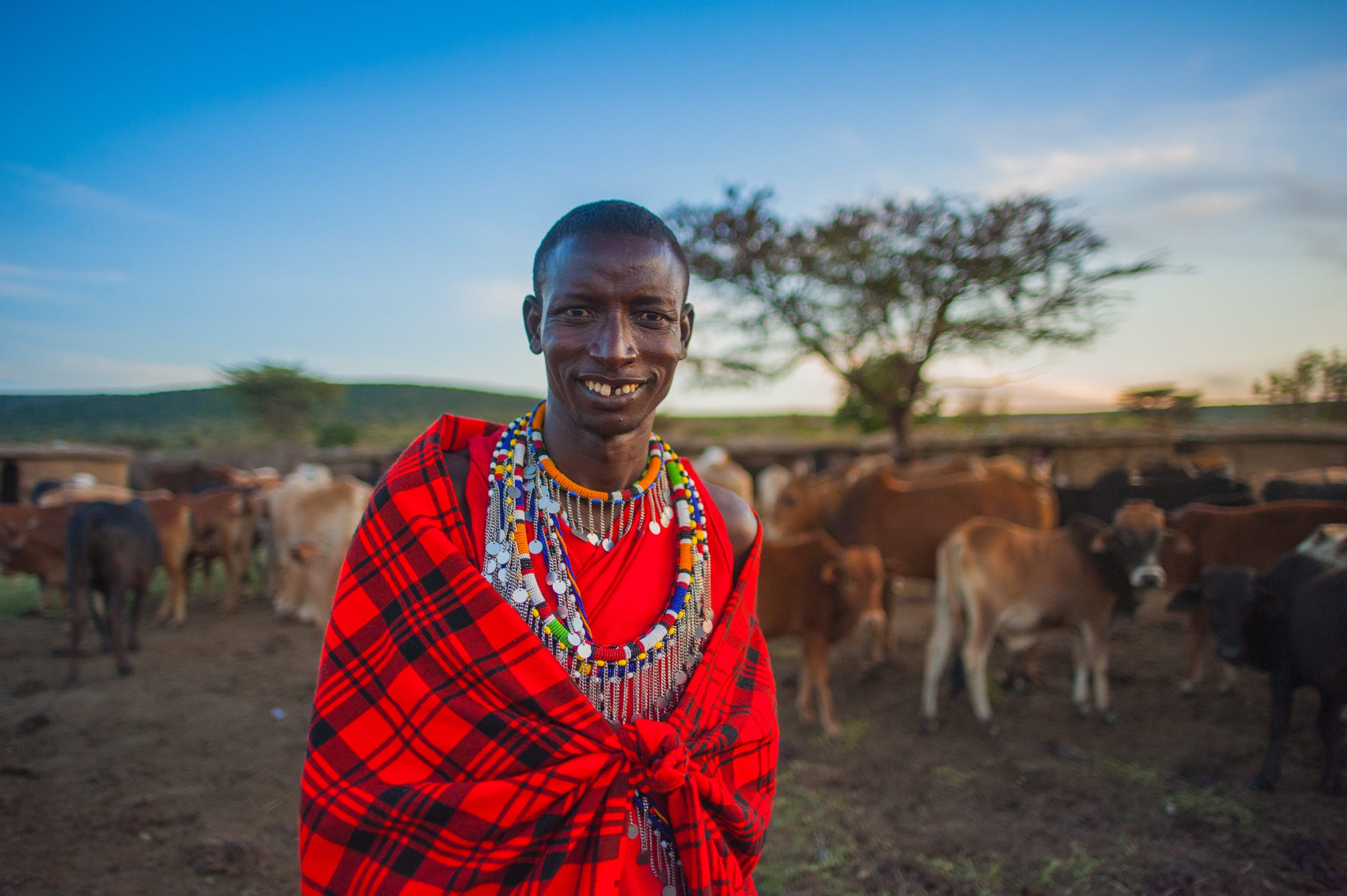 Sacred Rituals and Cattle Rites