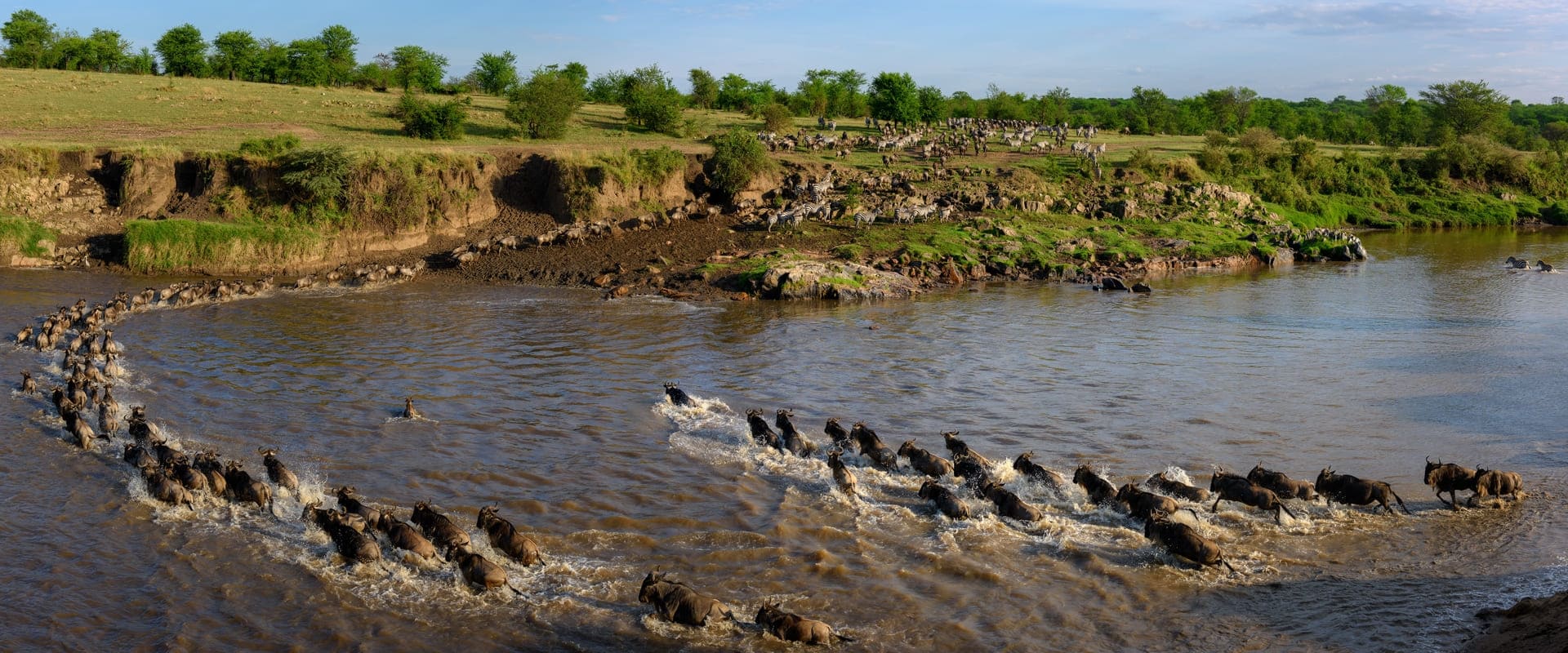 Best time for safari in Africa (1) (1)
