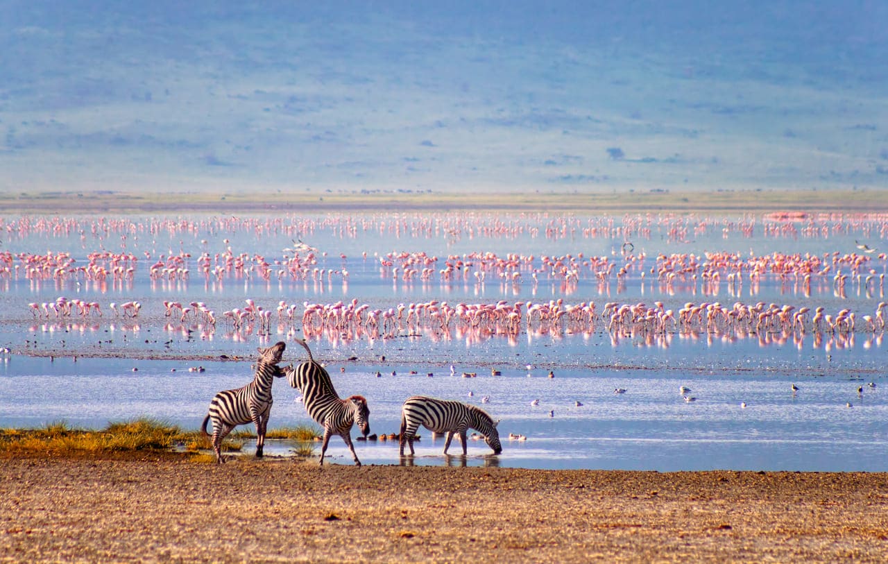 Ngorongoro Crater & Southern Serengeti, Tanzania