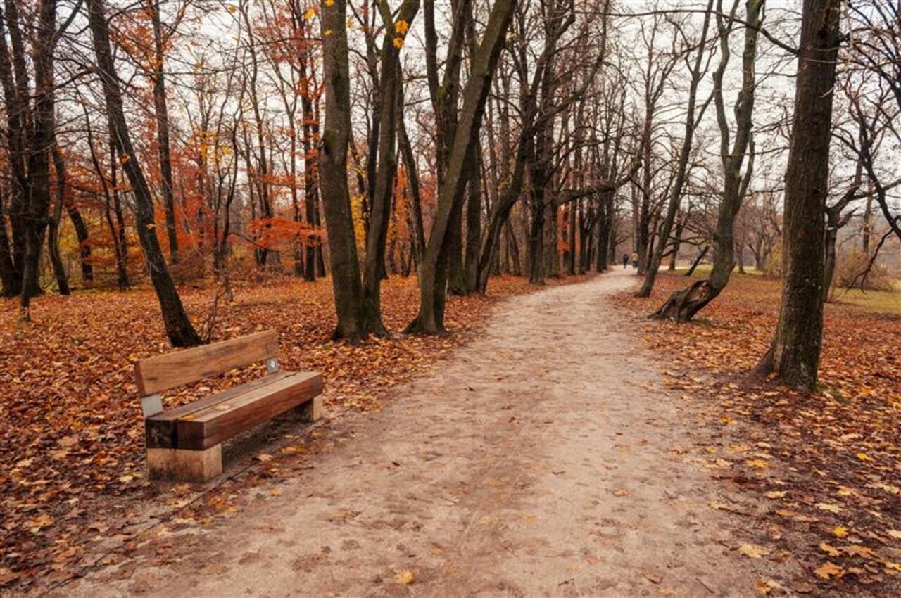 Normafa Park pine-scented retreat in theBuda hills of Budapest