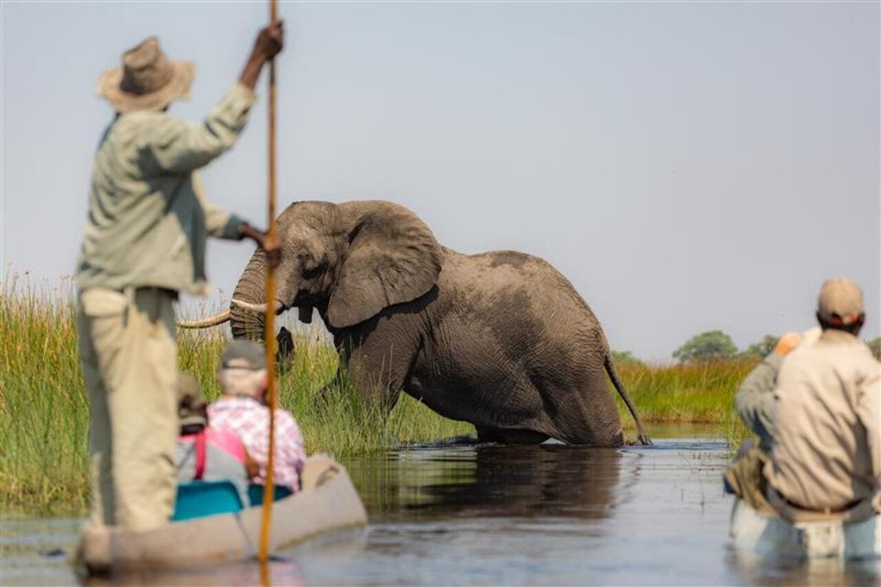 Water-Based Safaris okvango delta botswana
