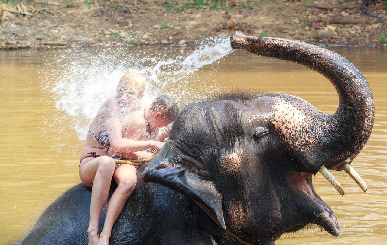 Wildlife Conservation Experiences in Goa, India