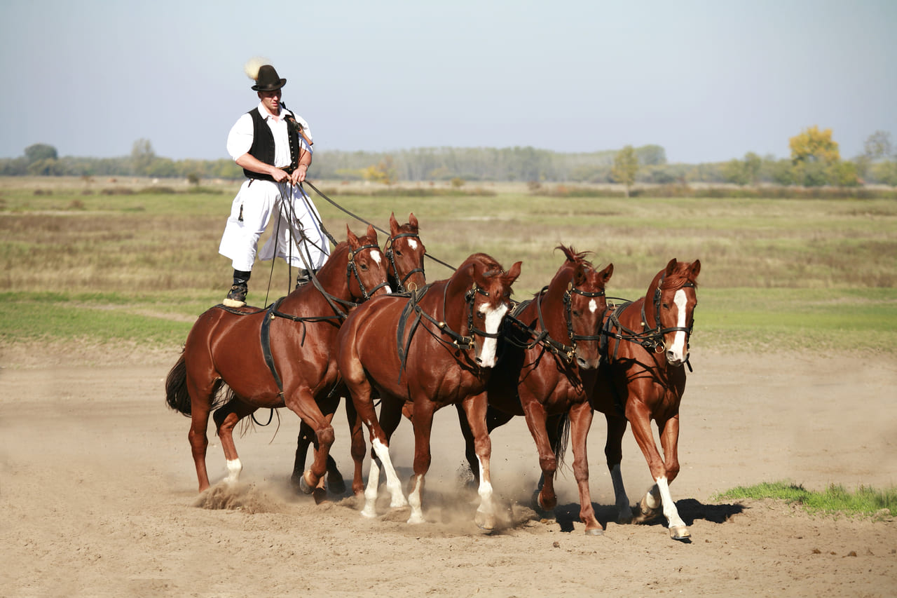 Hungary’s Patkó Lovas Színház, where horses and artistry take center stage in a spectacular cultural performance.