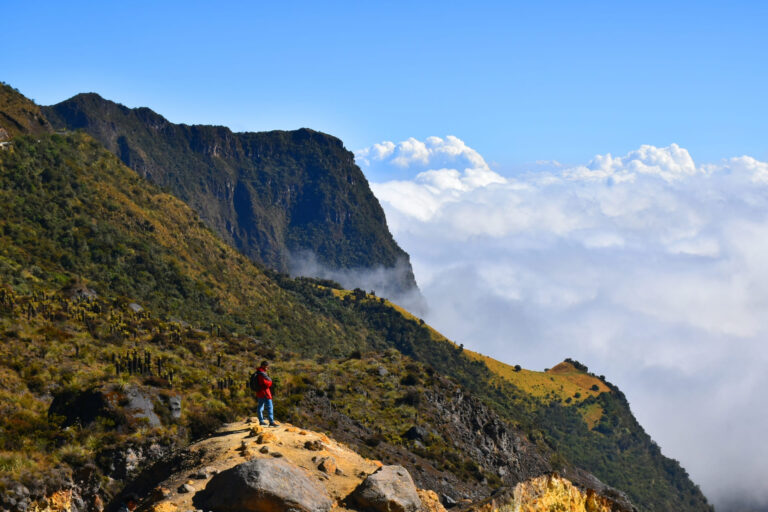 The magical moontañas of murillo colombia