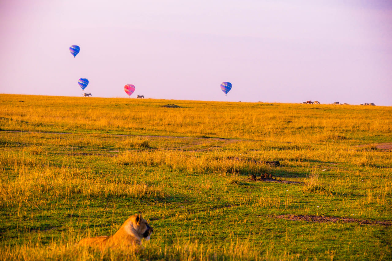hot air balloon experience tanzania
