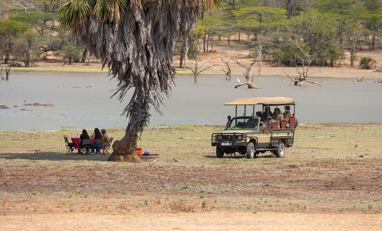 Tanzania africa game drive